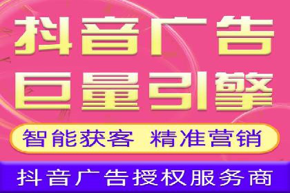 谷歌竞价案例：成功案例分析及启示